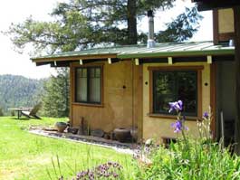Windows onto Back yard